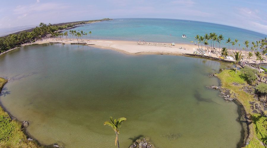 Kuʻualiʻi & Kahapapa Fishponds