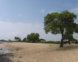 Kailua (Old Airport) State Beach Park