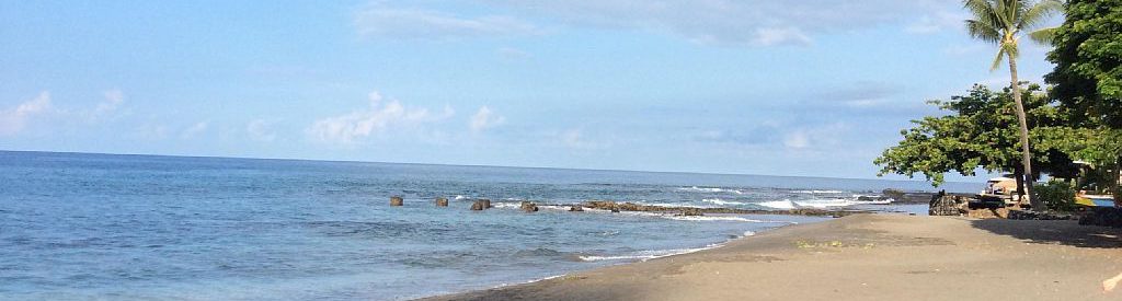 Ho’okena Beach