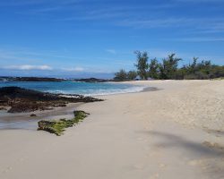 Kuki’o Beach