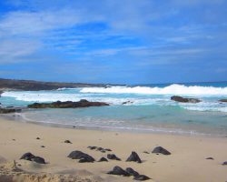 Manini Beach Park