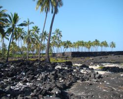 Pu’uhonua o Honaunau